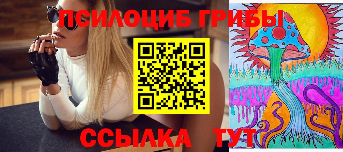 Тверь  Псилоцибиновые грибы Cubensis  хочу   Вход с VPN 