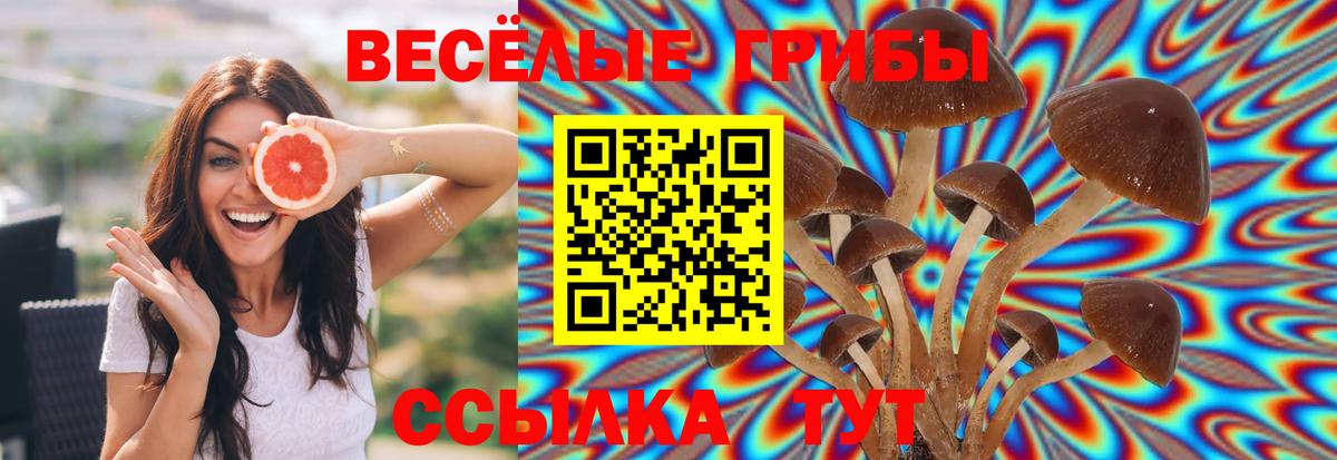 Псилоцибиновые грибы MAGIC MUSHROOMS Тверь
